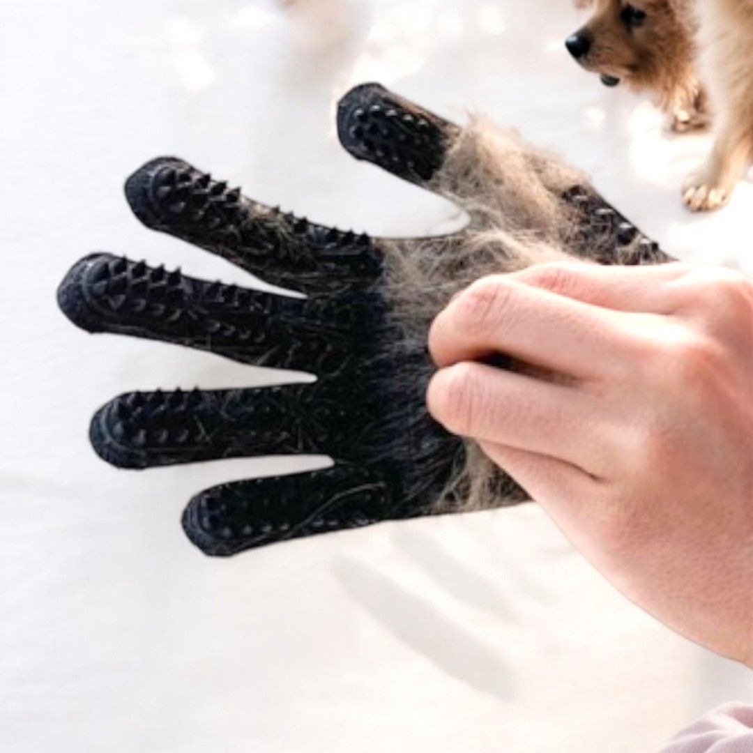 GUANTES PARA ASEO DE MASCOTAS GUANTES PARA ASEO DE MASCOTAS